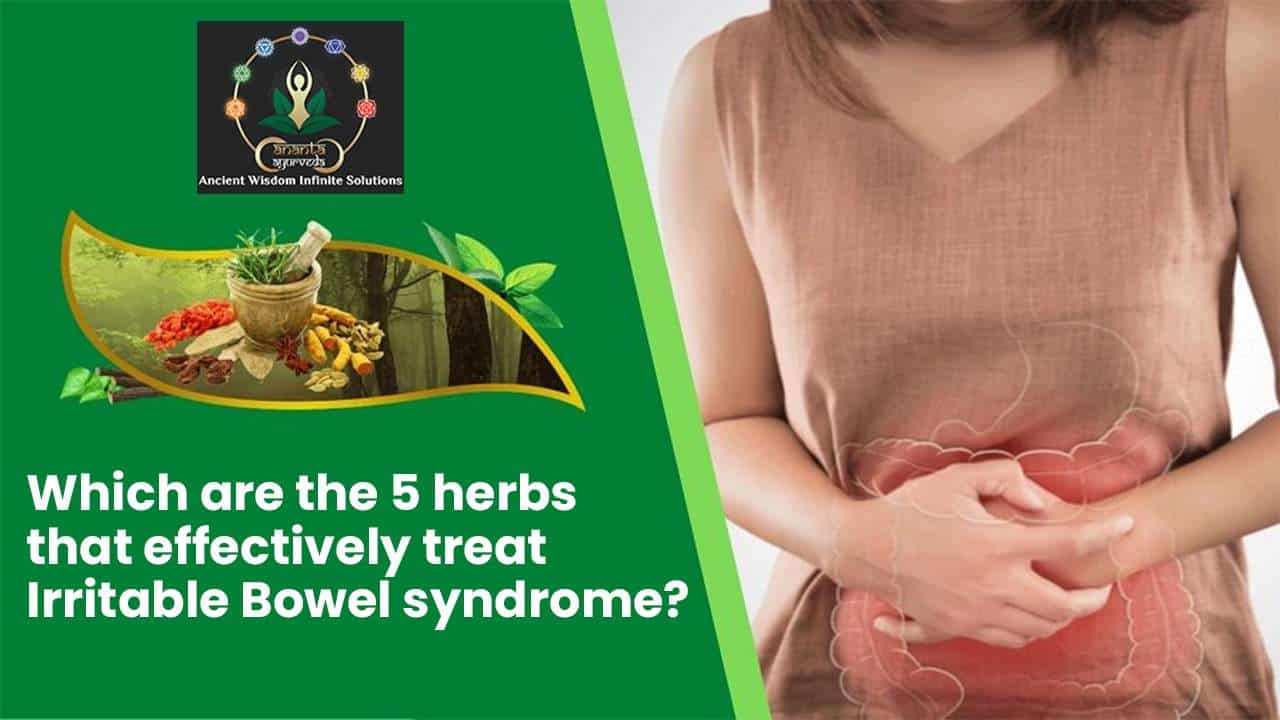 Which are the 5 herbs that effectively treat Irritable Bowel syndrome?