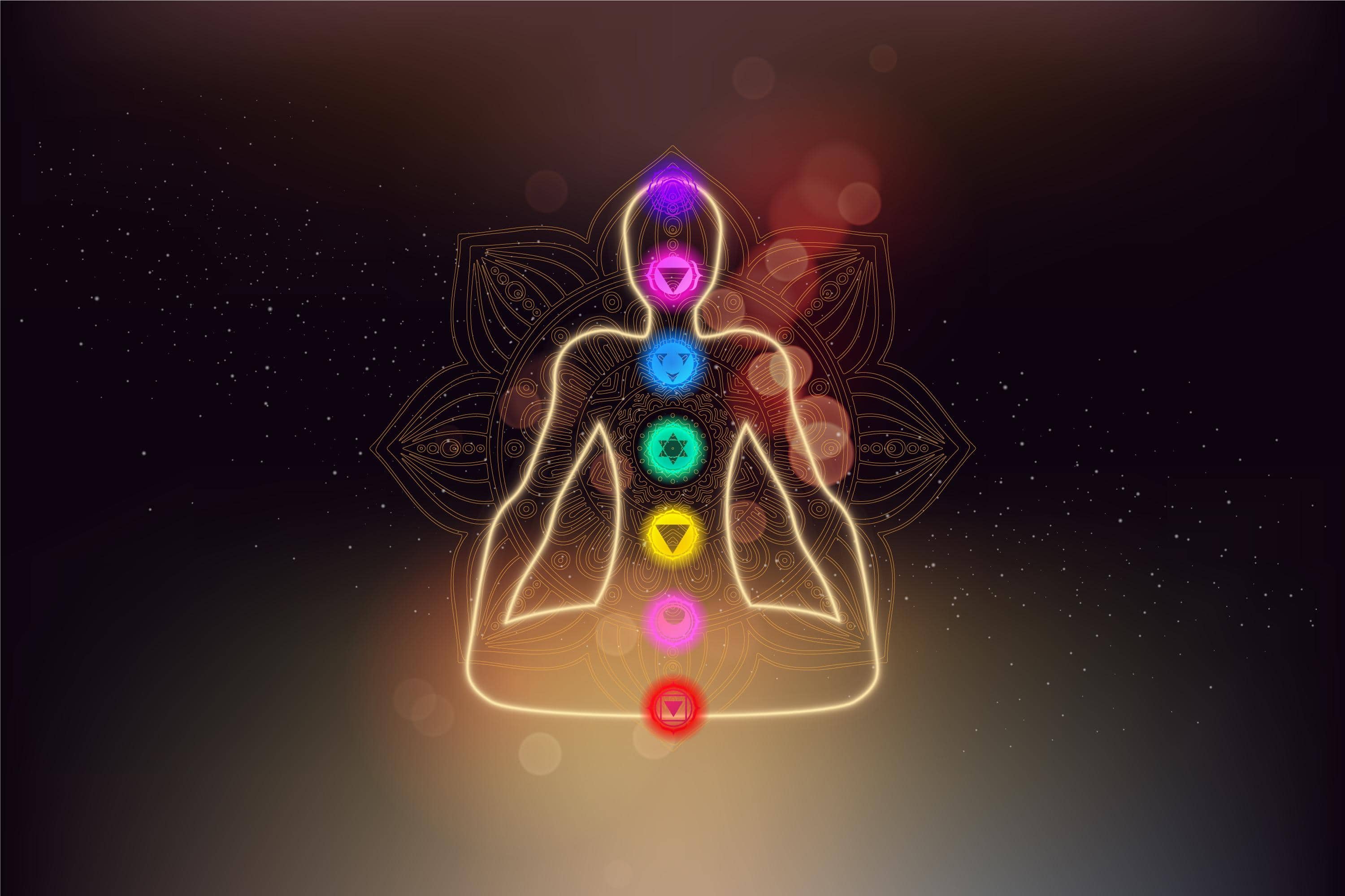 Why Is Arjuna Bark Considered As The Best Ayurvedic Herb? Read To Know
